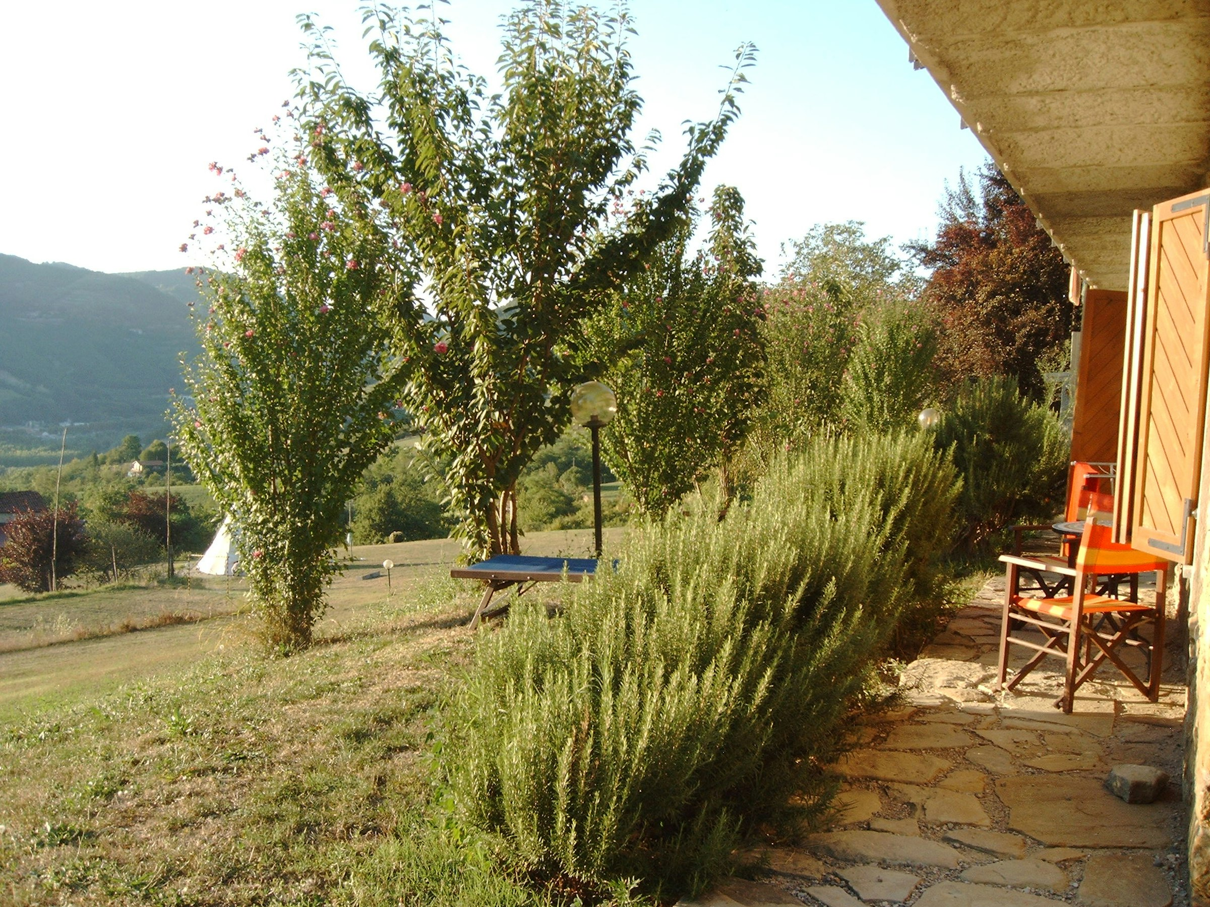 Blick in den Garten