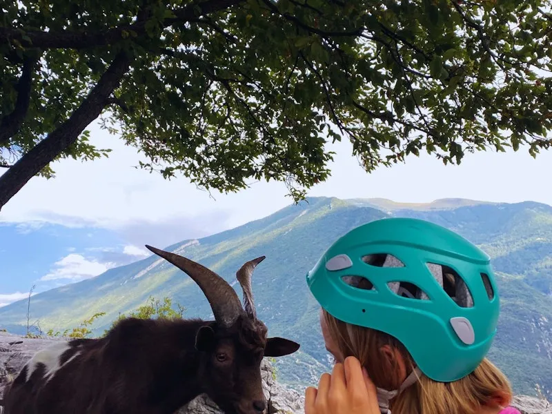 Kind streichelt Ziege