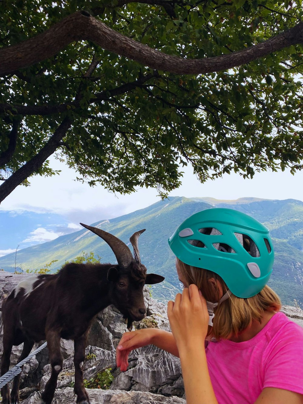 Bergsteigerinnen unter sich