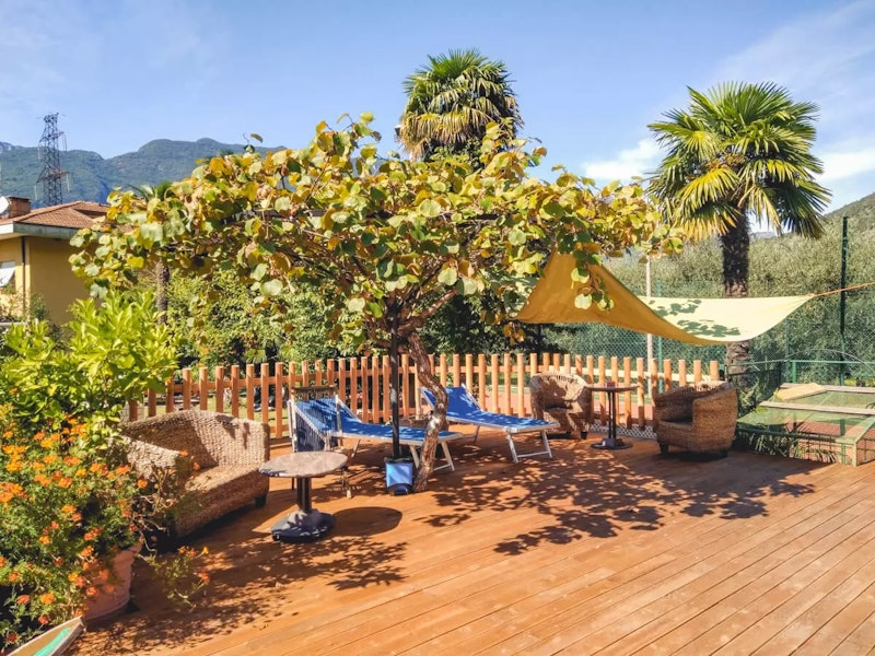 Liegestühle und Sofas unter Bäumen und Palmen