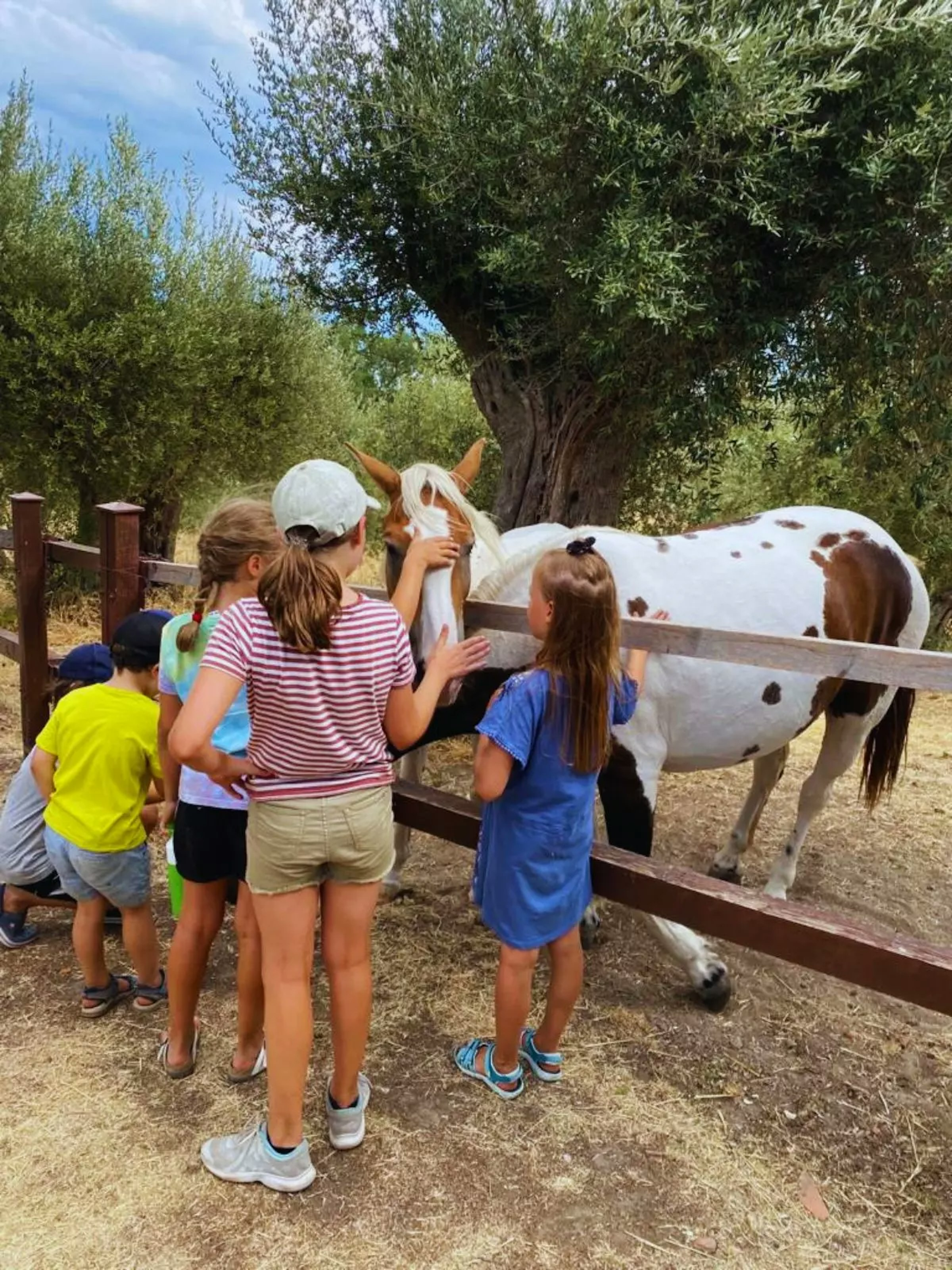 Kinder streicheln ein geflecktes Pferd