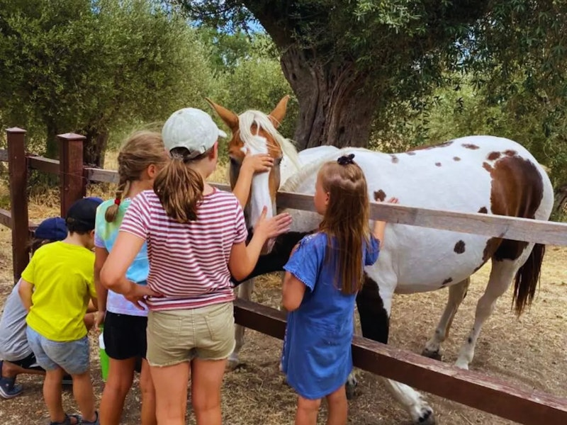 Kinder streicheln ein geflecktes Pferd