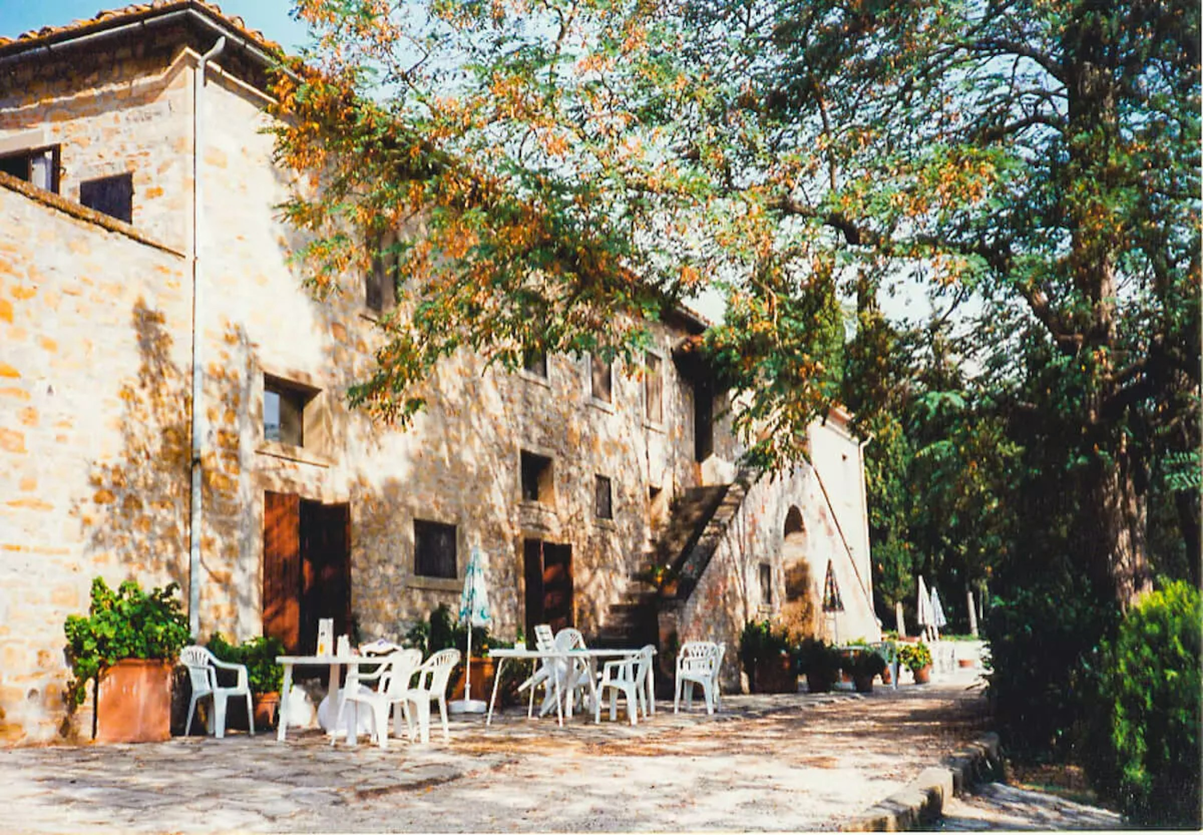Stühle vor dem Haus unter einem Baum