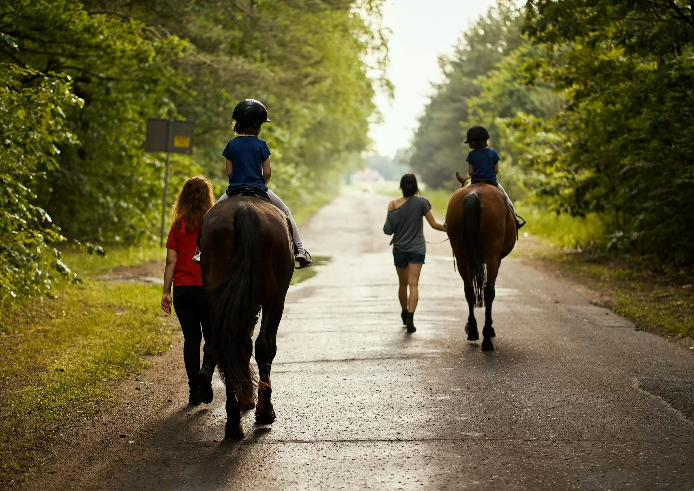 Kinder werden auf Pferden geführt