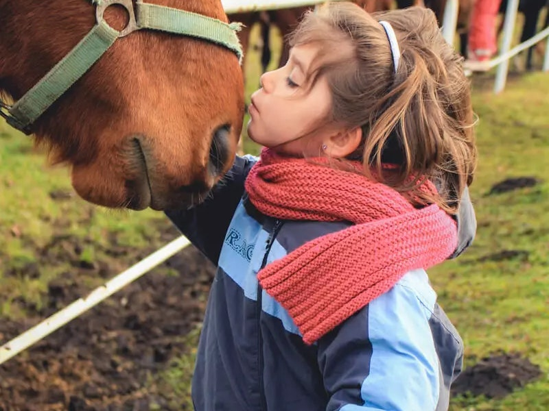 Kleines Mädchen und Pferd