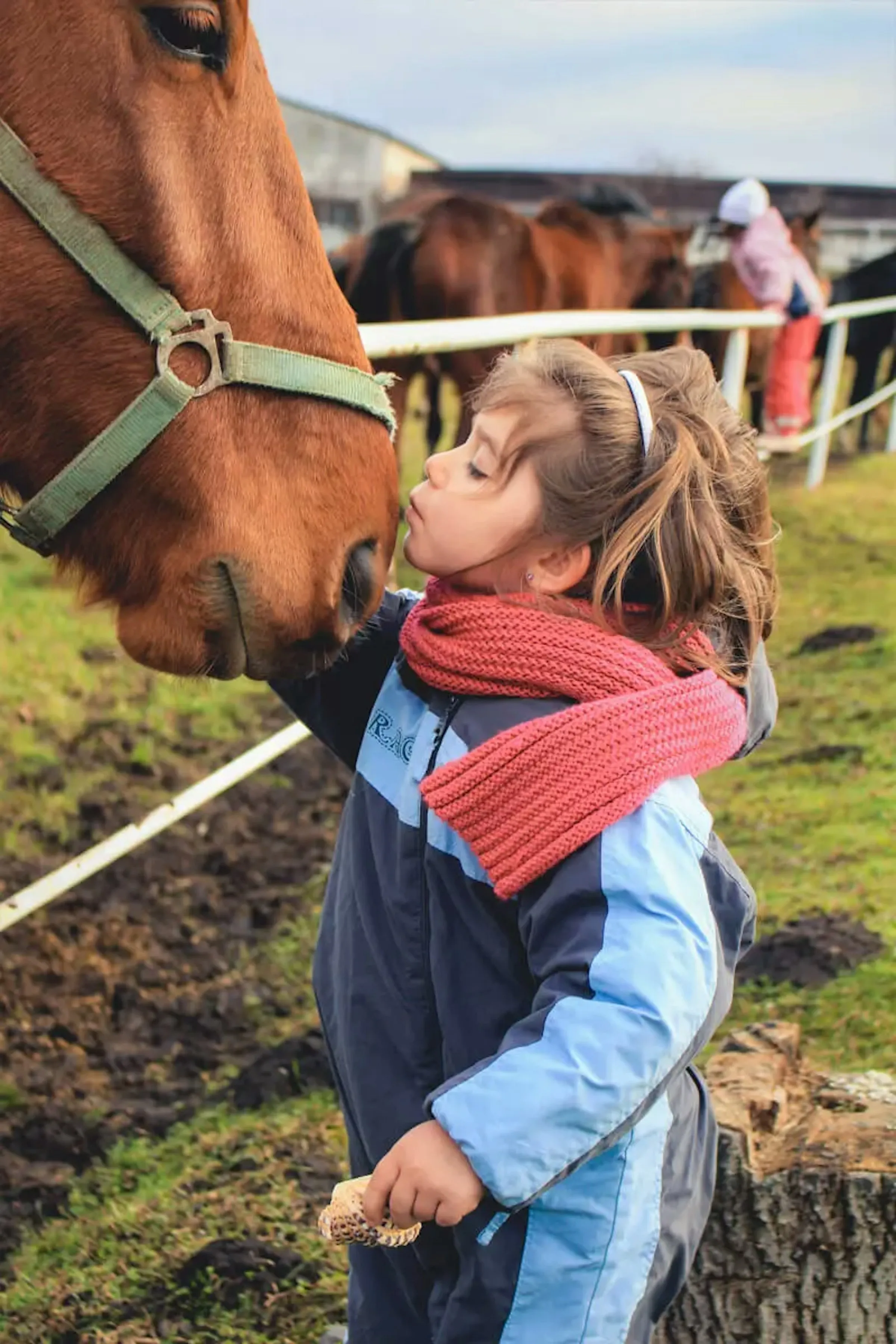 Kleines Mädchen und Pferd