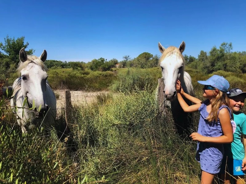 Zwei Kinder streicheln Wildpferde