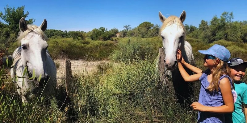 Zwei Kinder streicheln Wildpferde