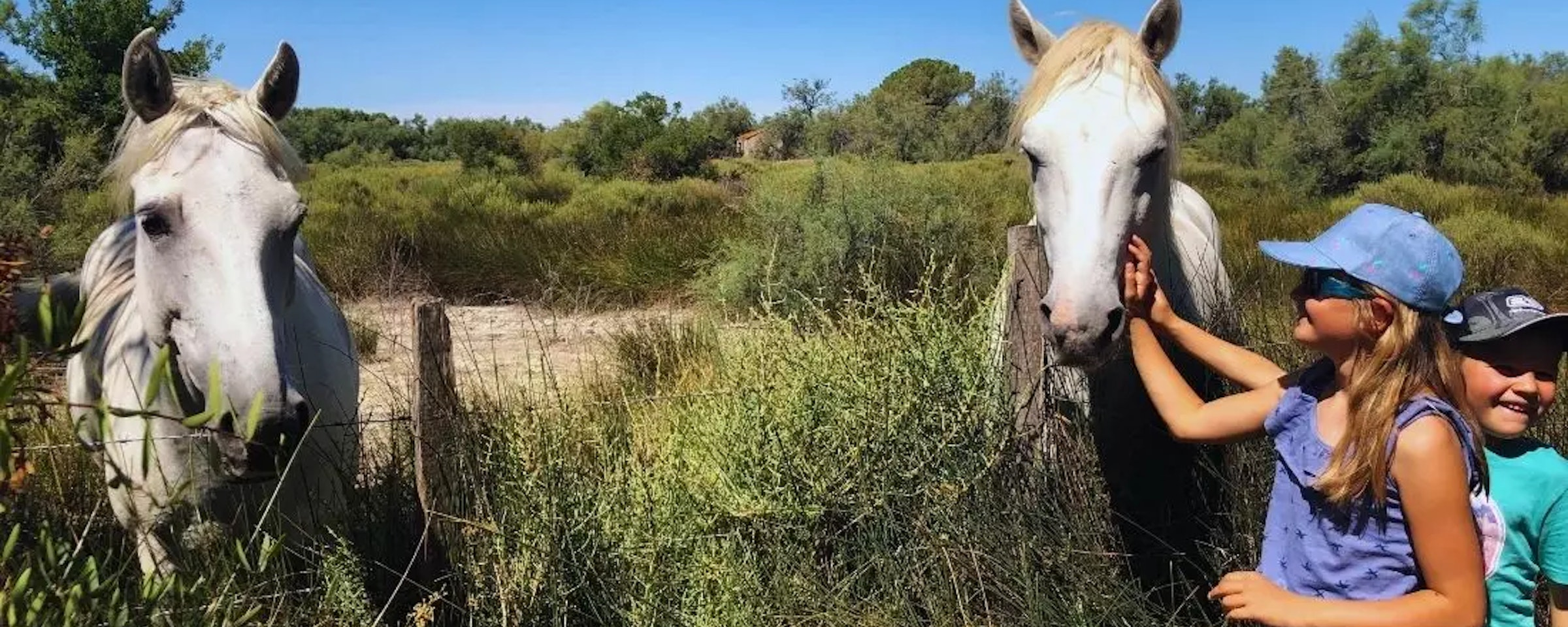 Zwei Kinder streicheln Wildpferde