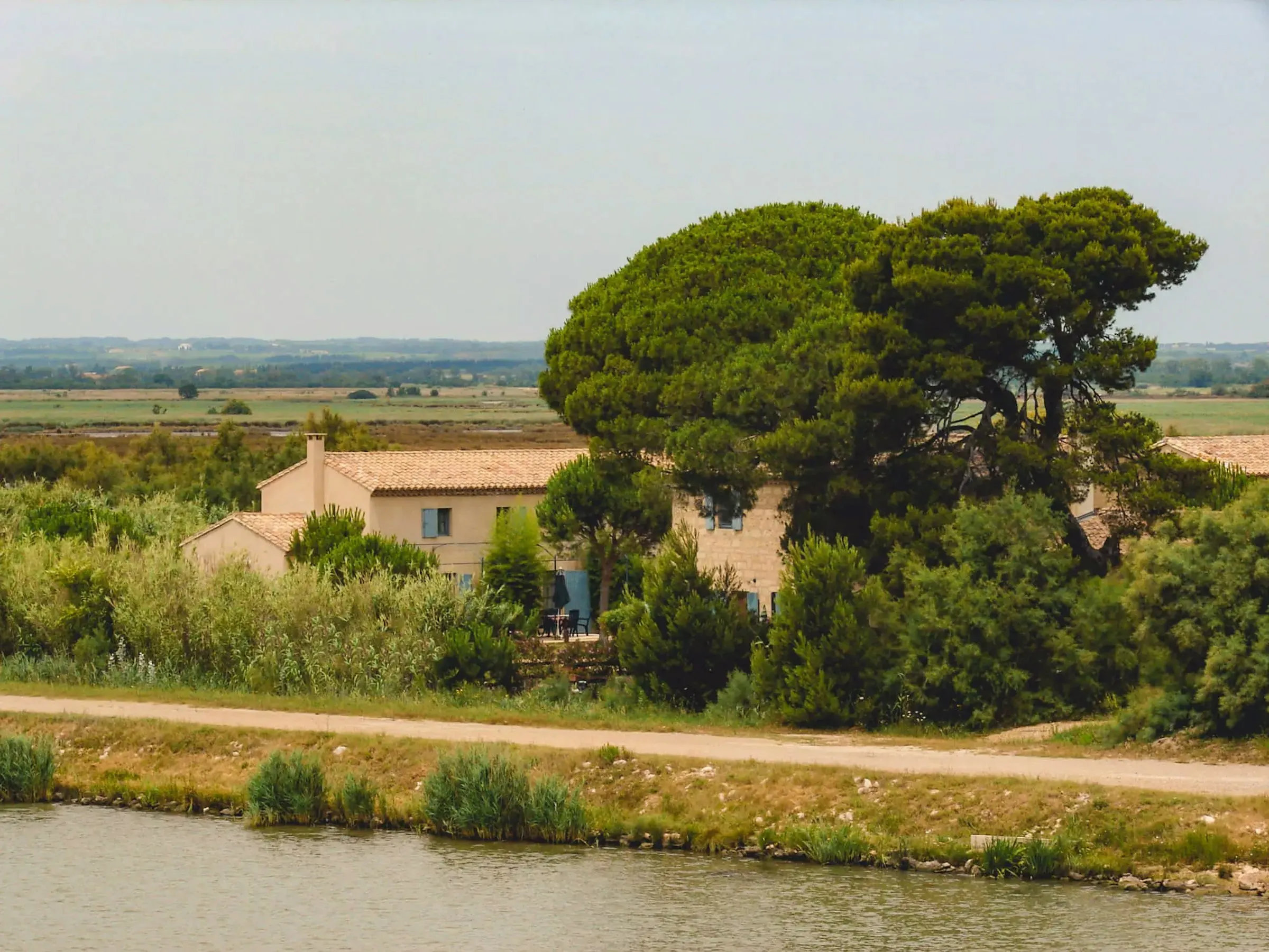 Haus am Fluss hinter einem Baum