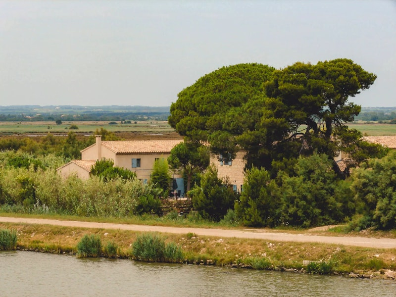 Haus am Fluss hinter einem Baum
