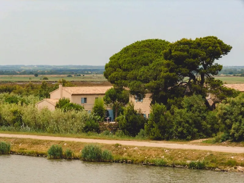 Haus am Fluss hinter einem Baum