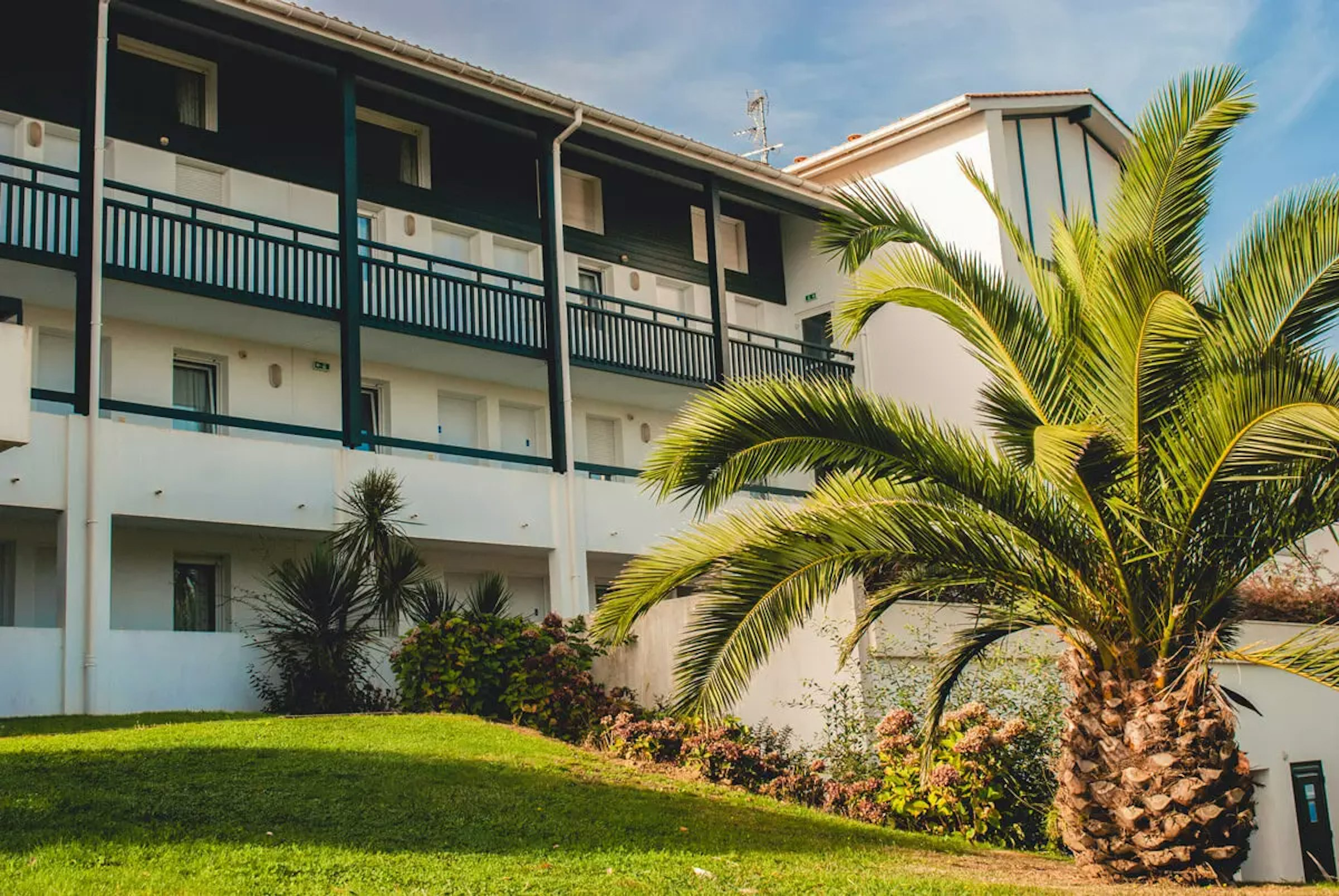 Anlage von hinten mit Wiese und Palme