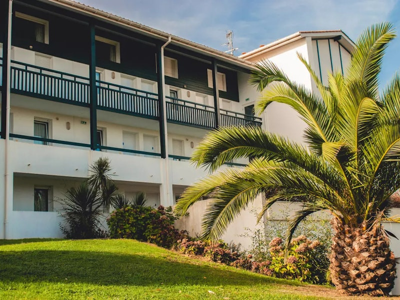 Anlage von hinten mit Wiese und Palme