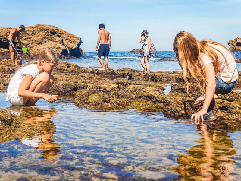 Kinder sammeln Muscheln