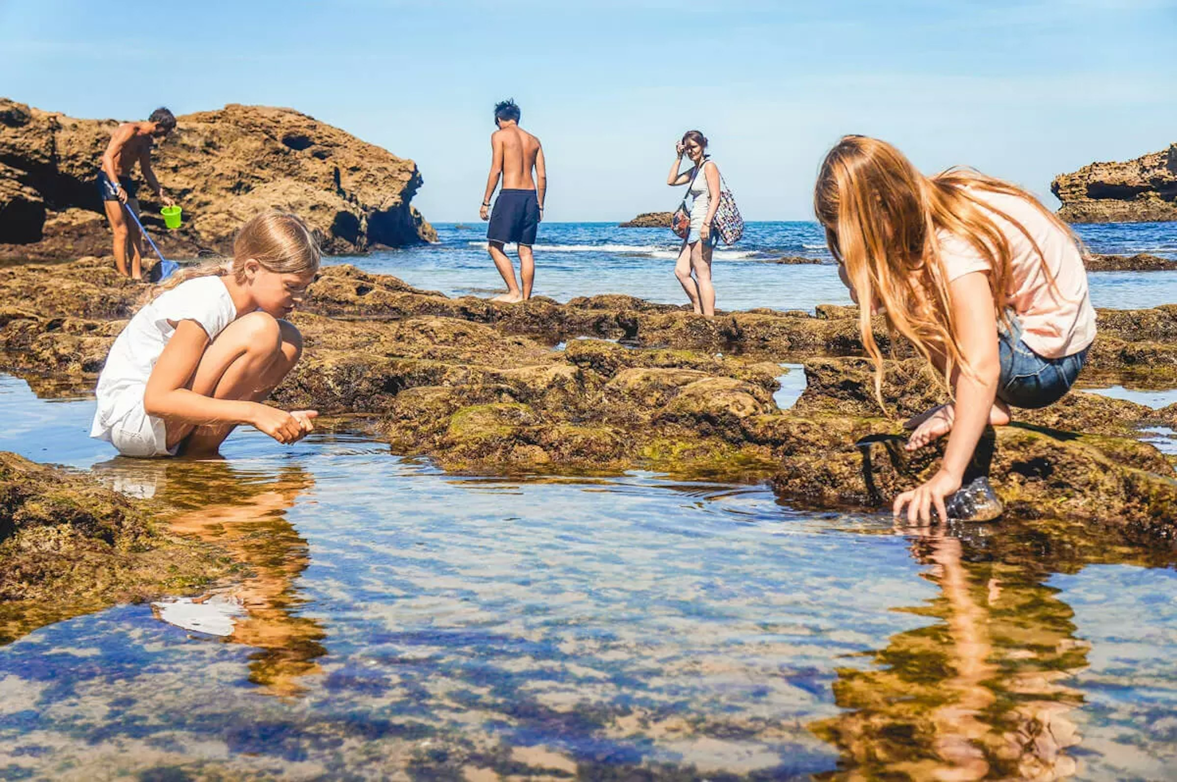 Kinder sammeln Muscheln
