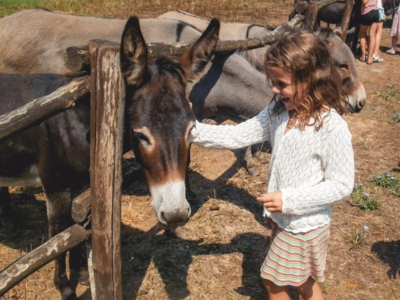 Mädchen streichelt Esel