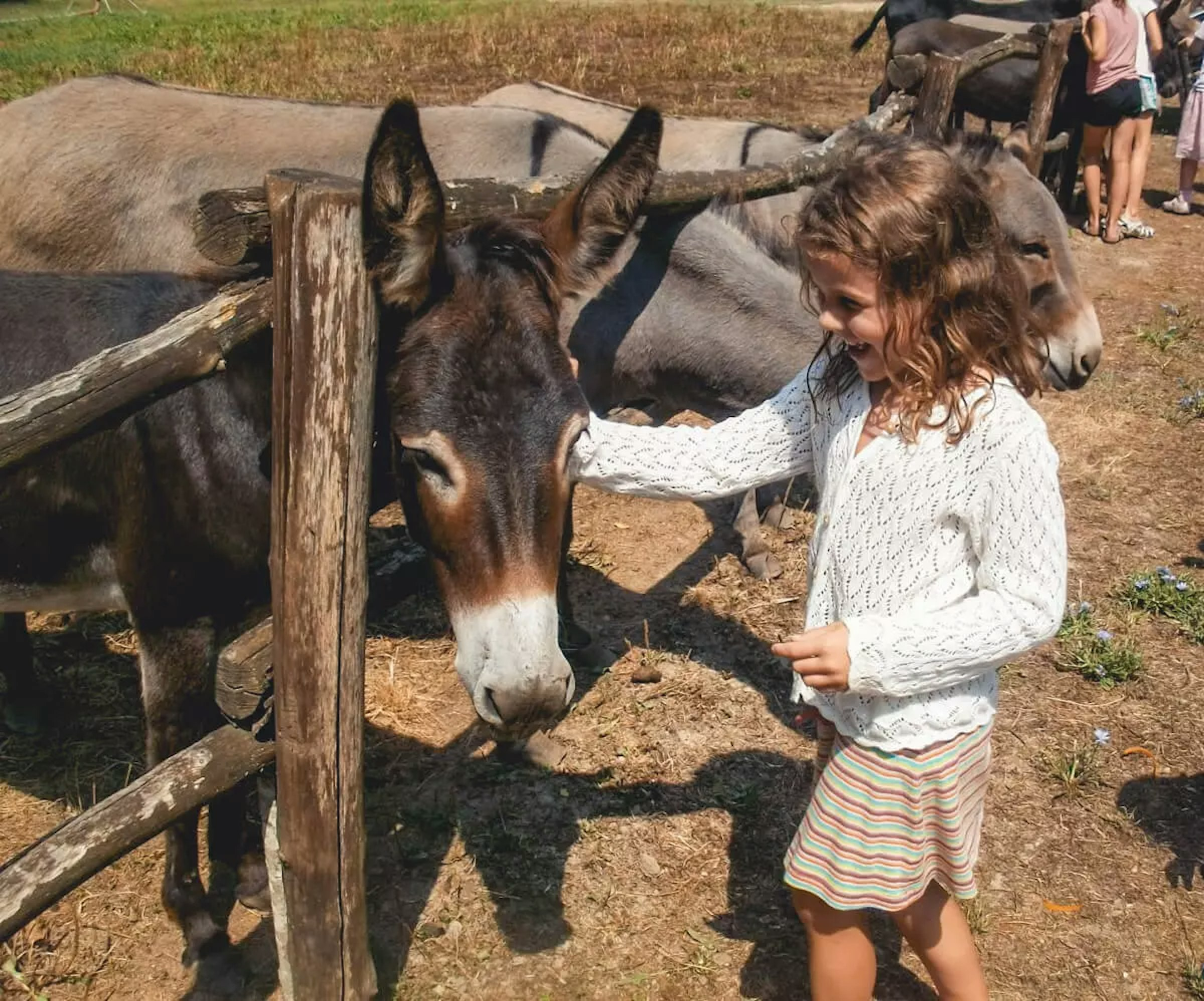 Mädchen streichelt Esel