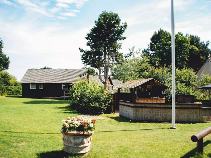 Wiese auf der Anlage