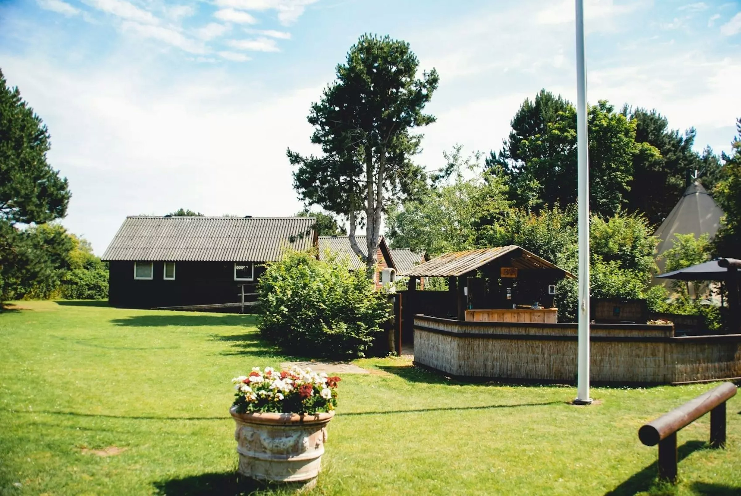 Wiese auf der Anlage