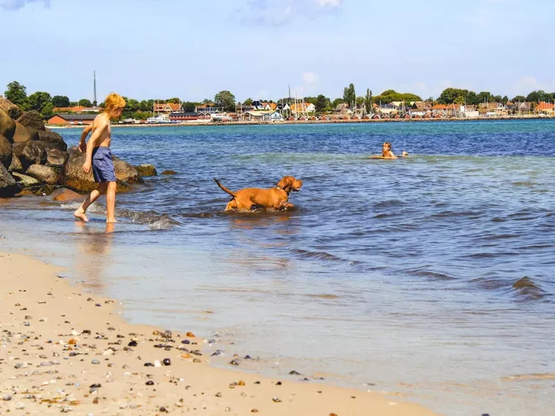 Hund und Kind im Wasser