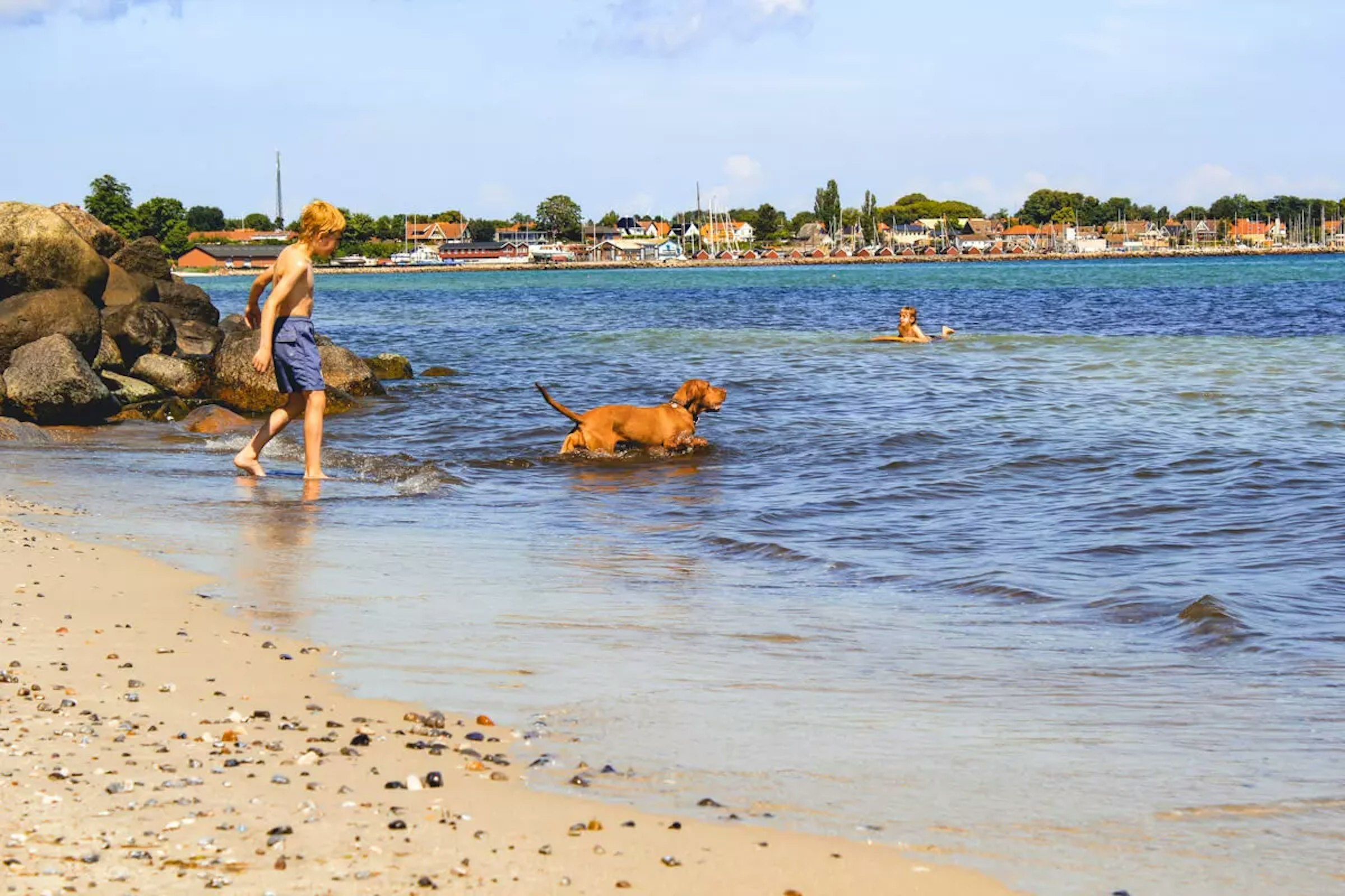 Hund und Kind im Wasser