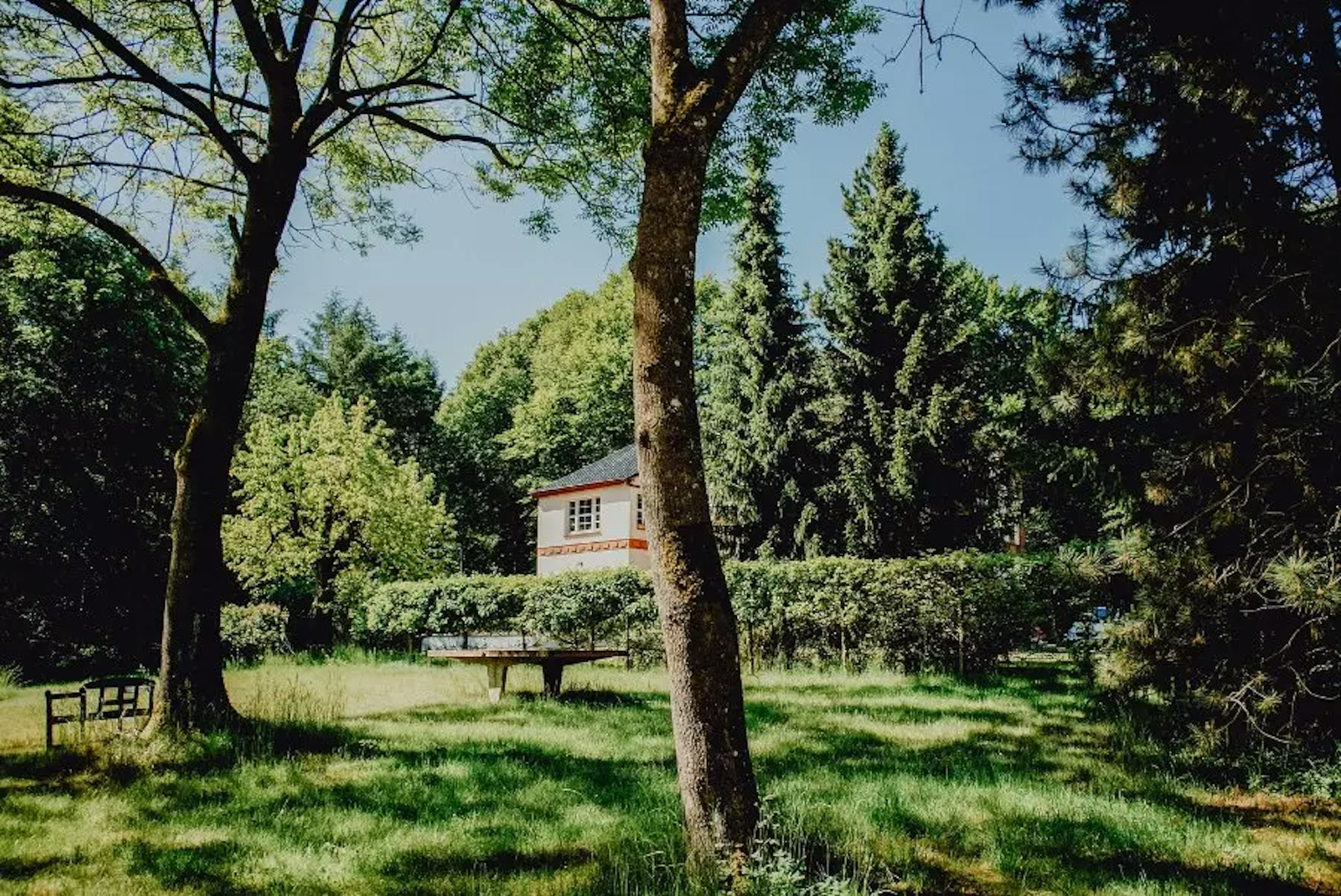 Schlossgarten