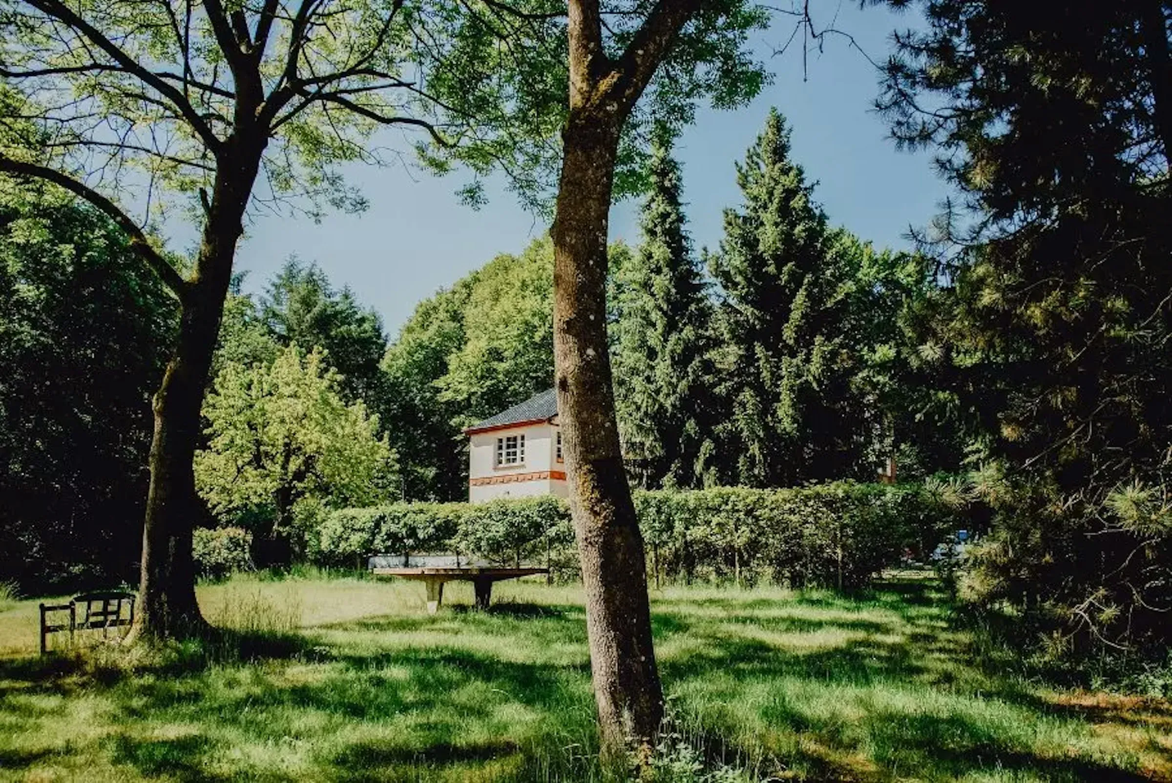 Schlossgarten