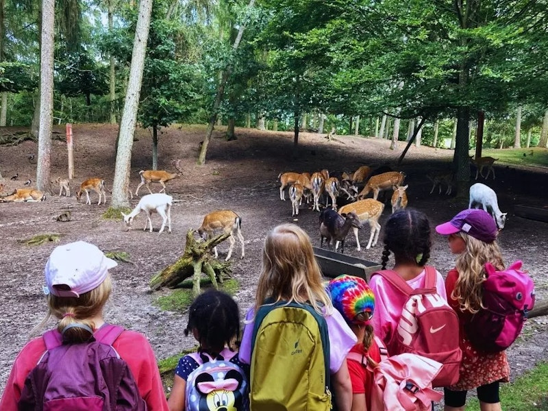 Kinder im Wald mit Rehen