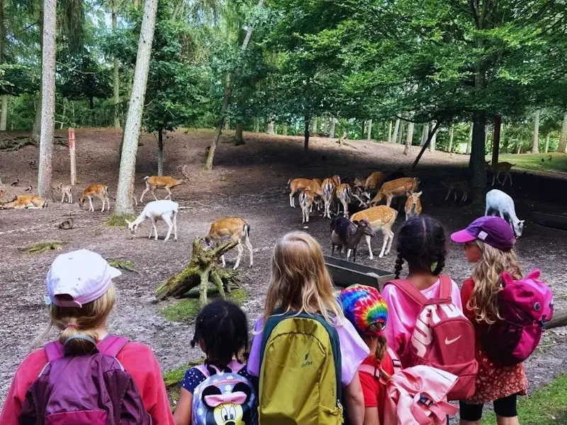 Kinder im Wald mit Rehen