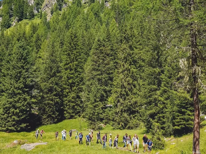 Wanderung in den Bergen