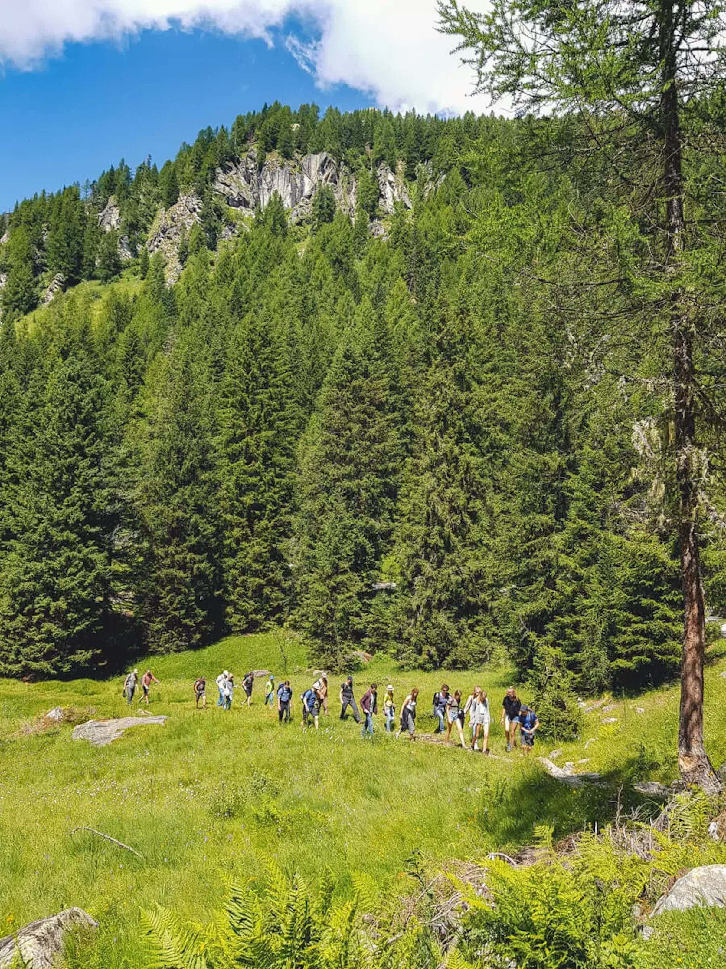 Wanderung in den Bergen