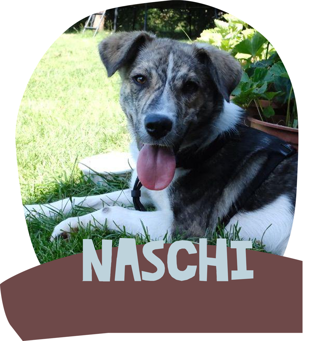 Ihr Name ist Programm und der alte Aktenvernichter hat ausgedient.