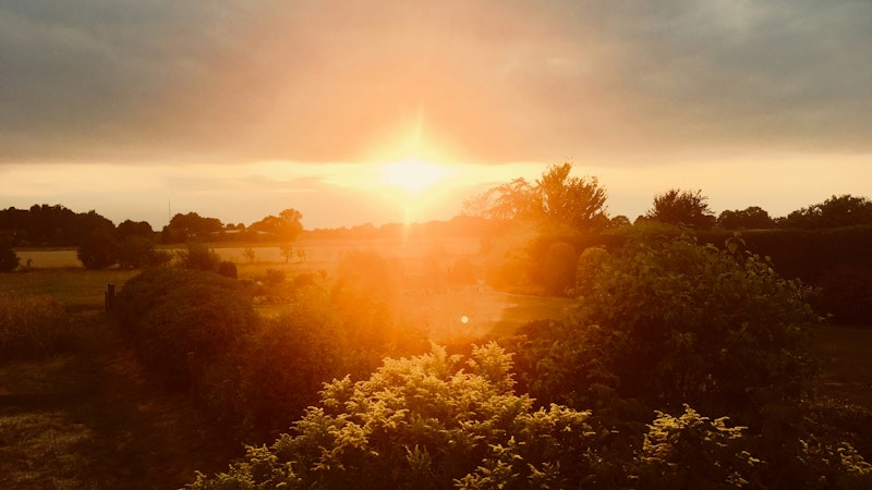 Sonnenuntergang über einem Feld