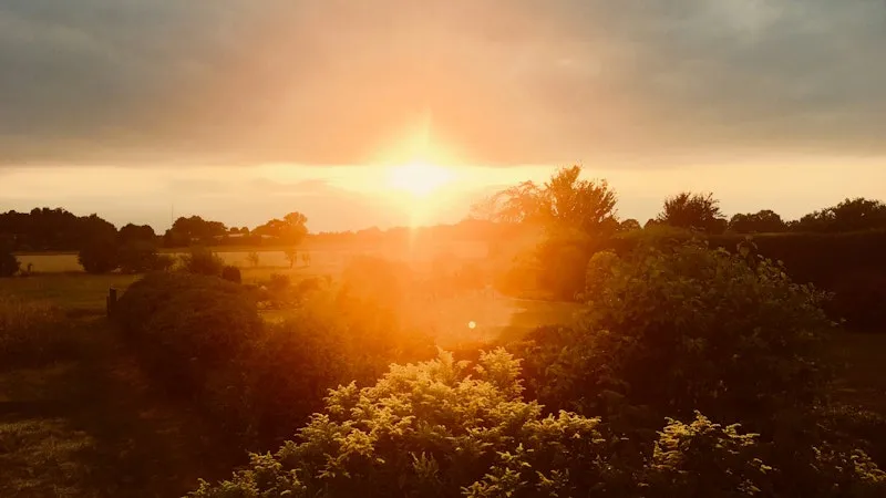 Sonnenuntergang über einem Feld