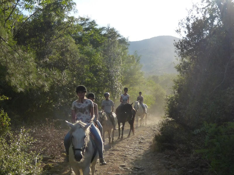 Kinder reiten auf Pferden