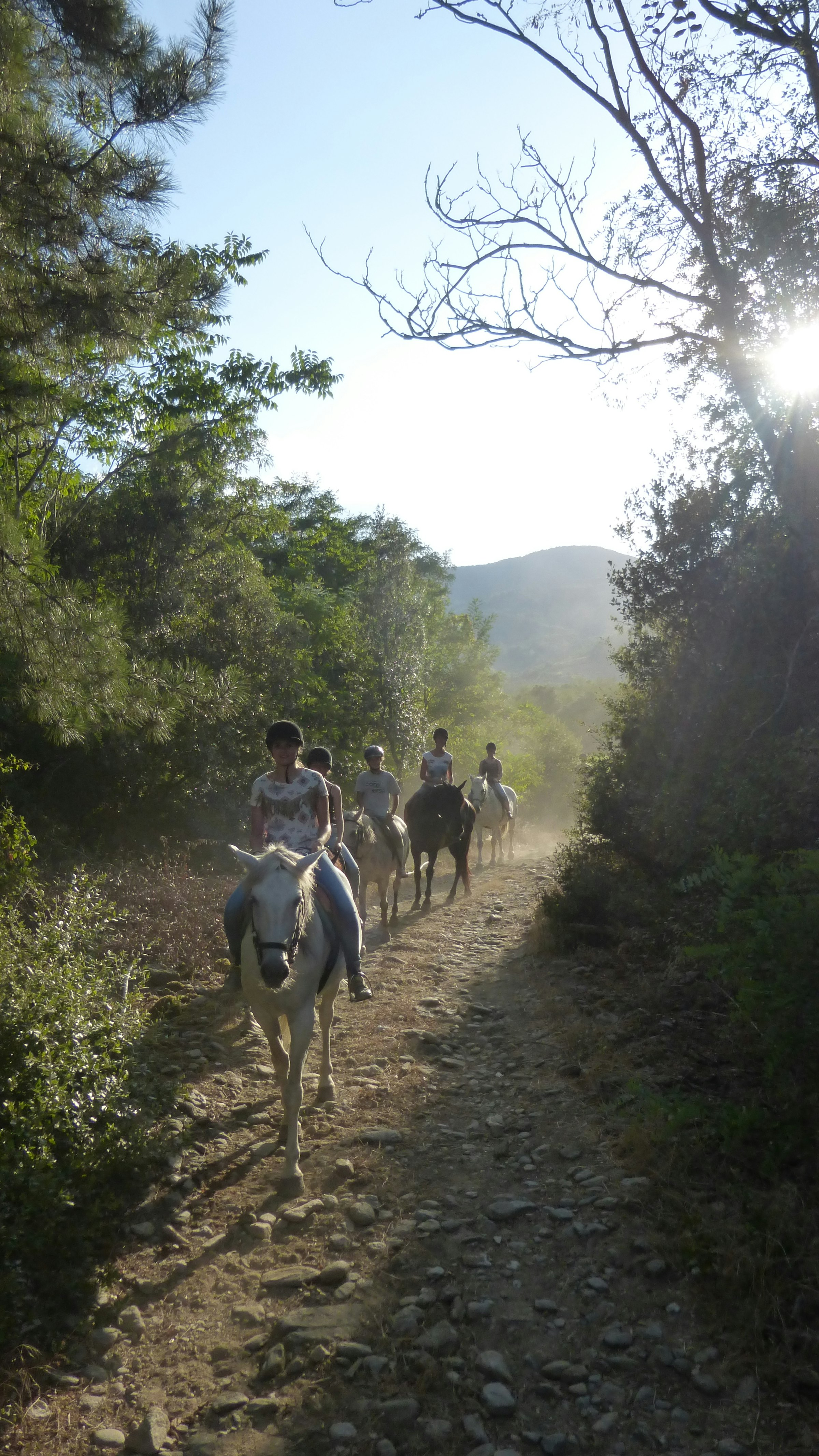 Kinder reiten auf Pferden