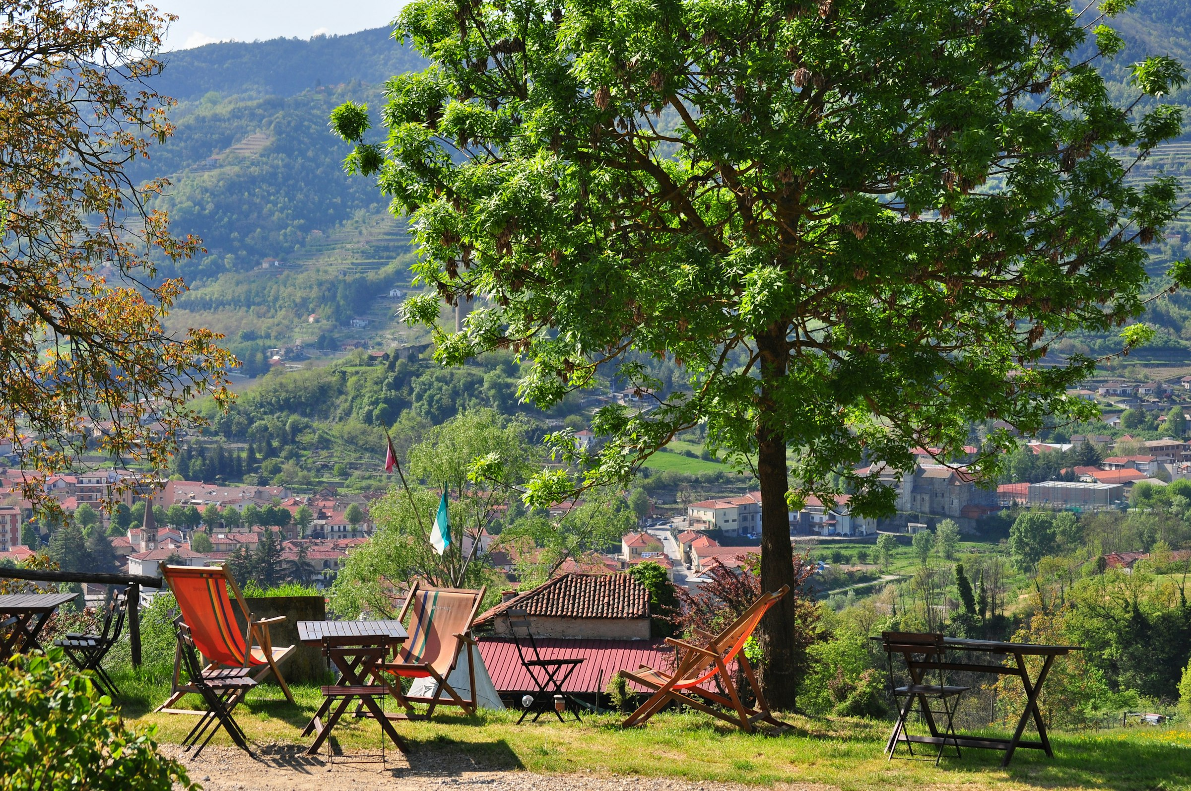 Liegestühle unter Baum