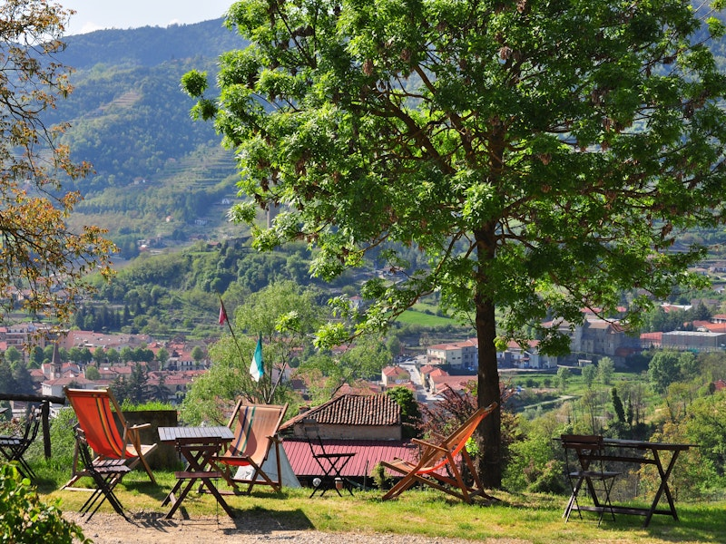 Liegestühle unter Baum