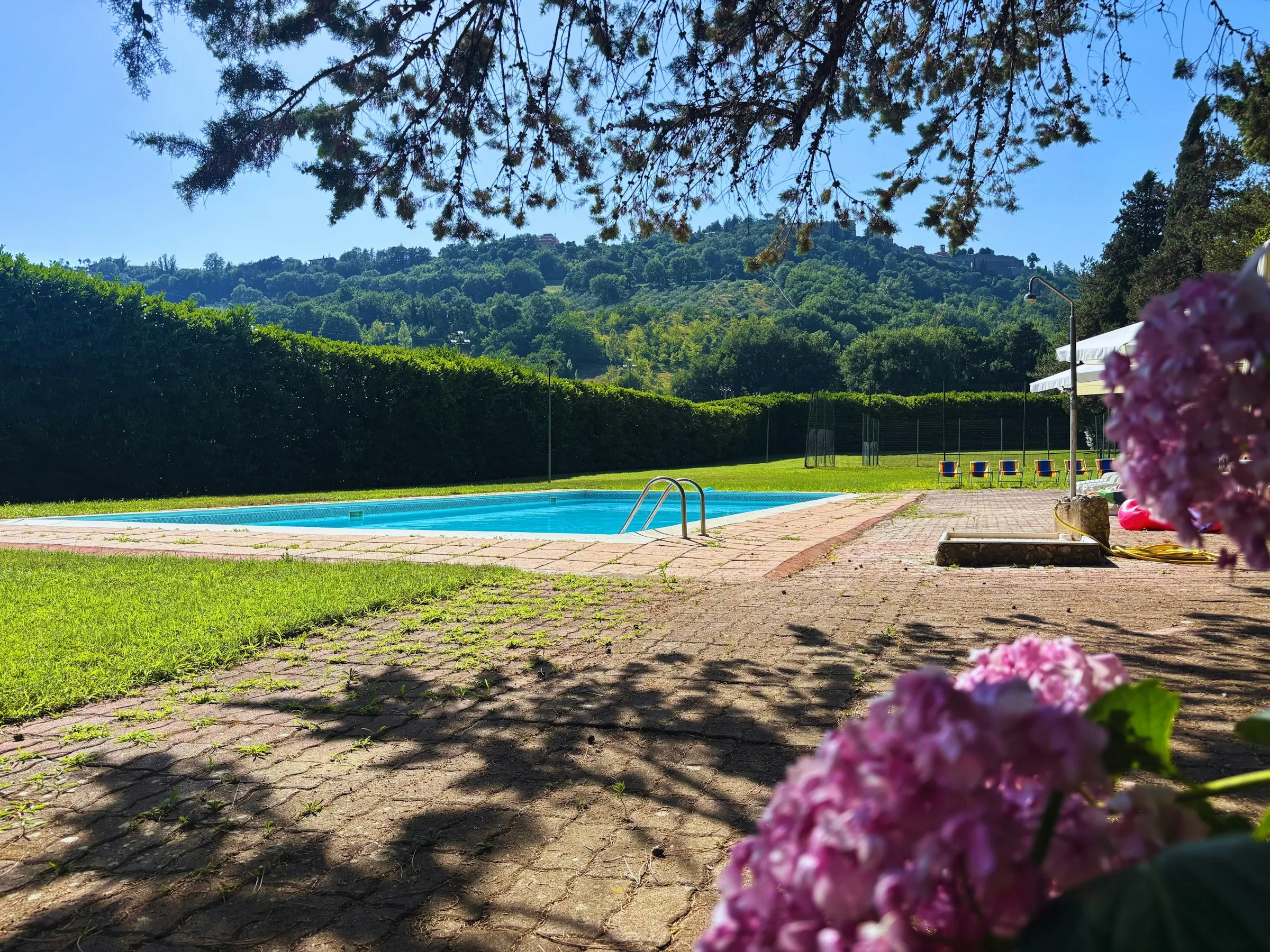 Pool mit Blumen