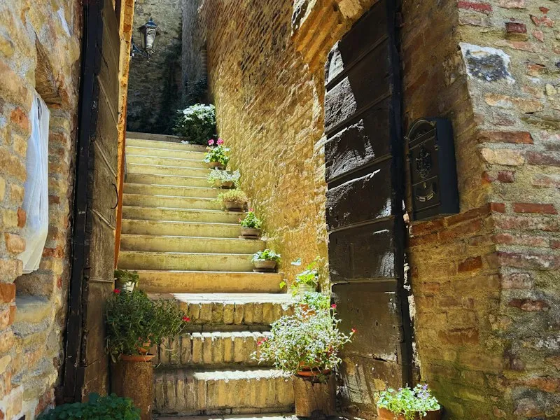 Alte Treppe mit Kräutertöpfen
