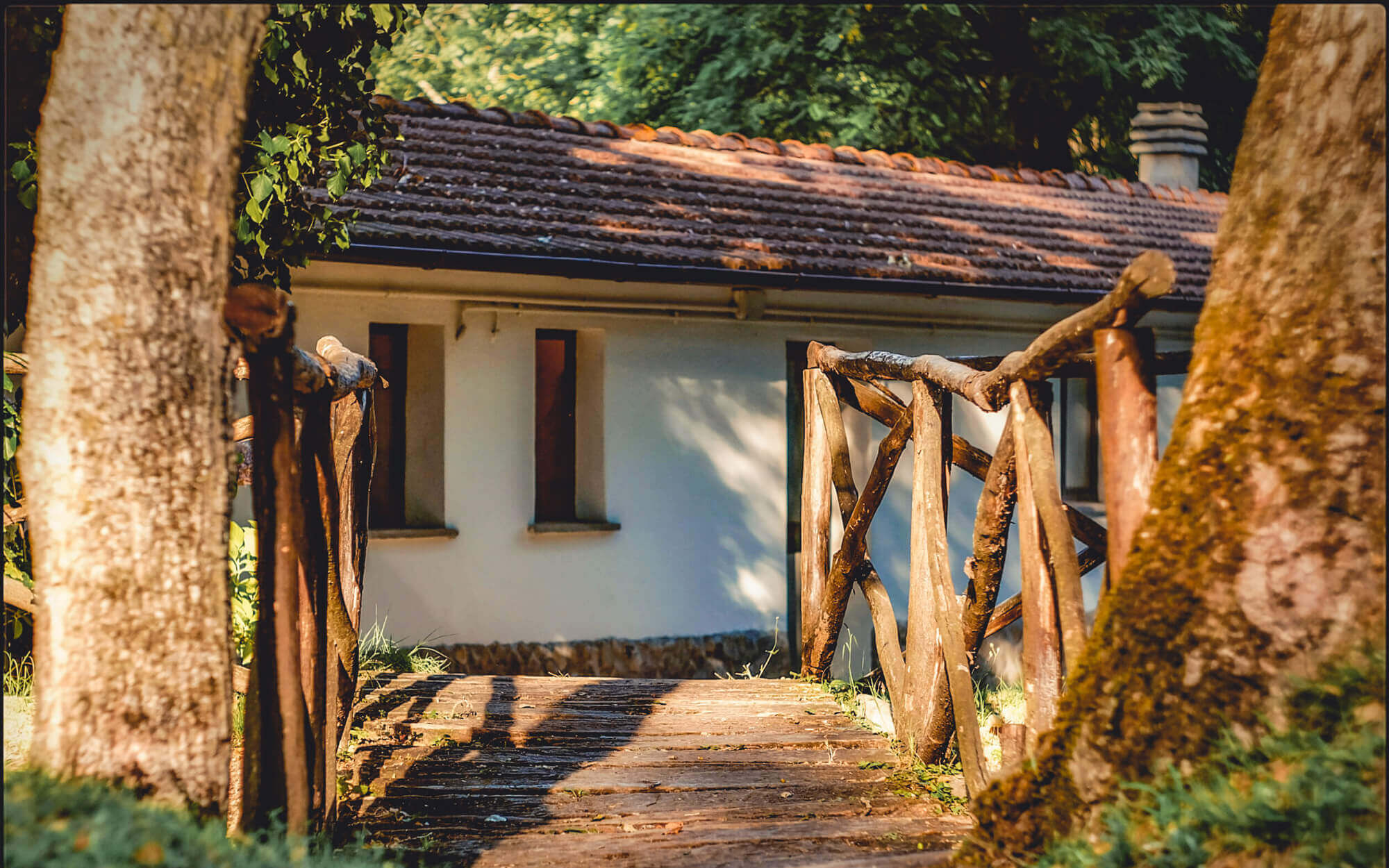 Eine naturbelassene Holzbrücke führt zu einem Haus, welches im Wald steht. 